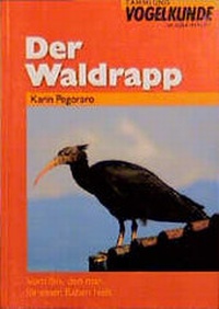 Enlarge image Cover: Der Waldrapp - AULA-Verlag