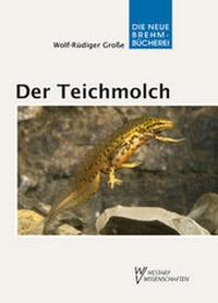 Abbildung von: Der Teichmolch - Militzke Verlag GmbH