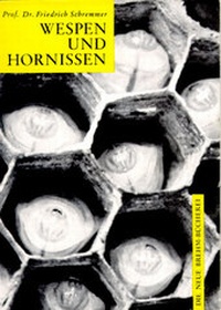 Abbildung von: Wespen und Hornissen - Militzke Verlag GmbH