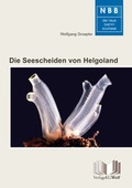 Cover: Die Seescheiden von Helgoland - Militzke Verlag GmbH