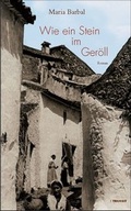 Cover: Wie ein Stein im Ger&ouml;ll - Transit