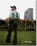 Cover: Mein Zug - Herausgeber.ch