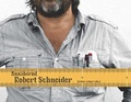 Cover: Ann&auml;hernd - Robert Schneider - edition lex liszt 12