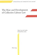 Cover: The Rise and Development of Collective Labour Law - Peter Lang Verlag