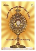 Cover: Durch den Glauben zur Freude - Mediatrix