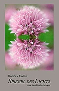 Cover: Spiegel des Lichts - Ryvellus