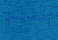 Cover: Katerina Vincourov&aacute;: Hobbyraum - Deutscher Akademischer Austauschdienst - Berliner-K&uuml;nstlerprogramm