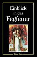 Cover: Einblick in das Fegfeuer - Parvis