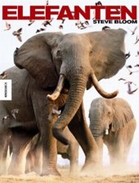 Enlarge image Cover: Elefanten - Knesebeck