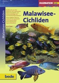 Cover: Faszination Malawisee-Cichliden - Verlag Eugen Ulmer