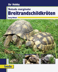 Abbildung von: Breitrandschildkröten - Verlag Eugen Ulmer