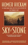 Cover: Sky of Stone - Dell