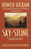 Cover: Sky of Stone - Dell