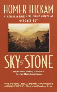Enlarge image Cover: Sky of Stone - Dell