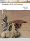 Cover: Gr&auml;berfeld Petinesca - rubmedia AG
