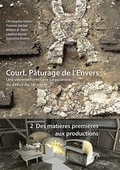 Cover: Court, P&acirc;turages de l'Envers. Une verrerie toresti&egrave;re jurassienne du d&eacute;but du 18e si&egrave;cle - rubmedia AG