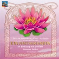 Cover: Einverstandensein - Windpferd