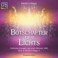 Cover: Botschafter des Lichts - Windpferd