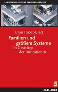 Cover: Familien und gr&ouml;ssere Systeme - Carl-Auer Verlag