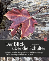 Abbildung von: Der Blick über die Schulter - dpunkt