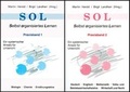 Cover: SOL - Selbst organisiertes Lernen. Ein systematischer Ansatz f&uuml;r Unterricht - Schneider Hohengehren
