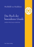 Cover: Das Buch der besonderen Gnade - Vier T&uuml;rme