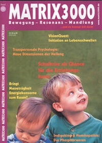 Enlarge image Cover: MATRIX 3000 - Michaels