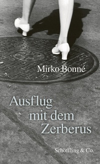 Abbildung von: Ausflug mit dem Zerberus - Schöffling