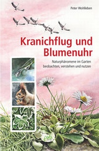 Abbildung von: Kranichflug und Blumenuhr - pala