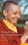 Cover: Das Licht, das keinen Schatten wirft - Theseus Verlag in Kamphausen Media GmbH