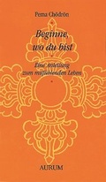 Cover: Beginne, wo du bist - Aurum in Kamphausen Media GmbH