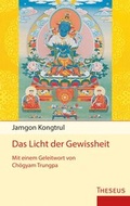 Cover: Das Licht der Gewissheit - Theseus Verlag in Kamphausen Media GmbH