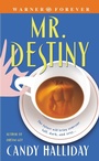 Cover: Mr. Destiny - Grand Central Publishing