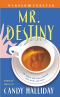 Cover: Mr. Destiny - Grand Central Publishing