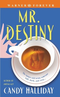 Enlarge image Cover: Mr. Destiny - Grand Central Publishing