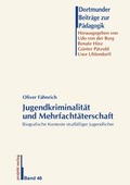Cover: Jugendkriminalit&auml;t und Mehrfacht&auml;terschaft - Projekt