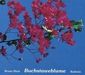 Cover: Buchstaweblume - verlag regionalkultur