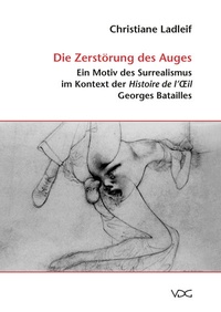 Abbildung von: Die Zerstörung des Auges - VDG Weimar - Verlag und Datenbank für Geisteswissenschaften