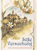 Cover: S&uuml;&szlig;e Versuchung - Stekovics, J
