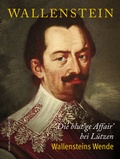 Cover: Die blut&acute;ge Affair&acute; bei L&uuml;tzen - Stekovics, J