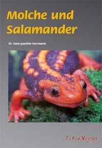 Abbildung von: Molche und Salamander - Tetra