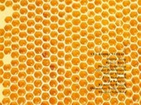 Enlarge image Cover: XVI. Rohkunstbau - Schiler & Mücke