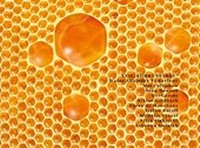 Enlarge image Cover: XVII. Rohkunstbau - Schiler & Mücke