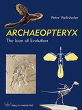 Cover: ARCHAEOPTERYX - Pfeil, F