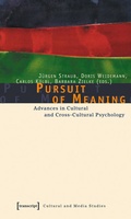 Cover: Pursuit of Meaning - transcript