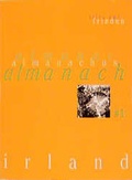 Cover: irland almanach / irland almanach - Unrast Verlag