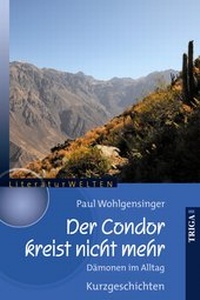 Abbildung von: Der Condor kreist nicht mehr - TRIGA Der Verlag Gerlinde Heß