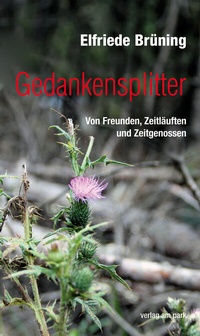 Abbildung von: Gedankensplitter - verlag am park