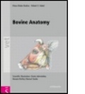 Cover: Bovine Anatomy - Schl&uuml;tersche