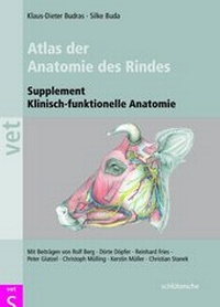 Abbildung von: Atlas der Anatomie des Rindes - Schlütersche